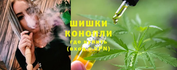 сатива Абаза