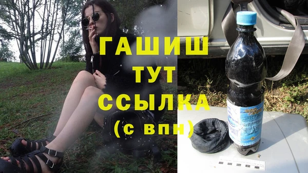сатива Абаза