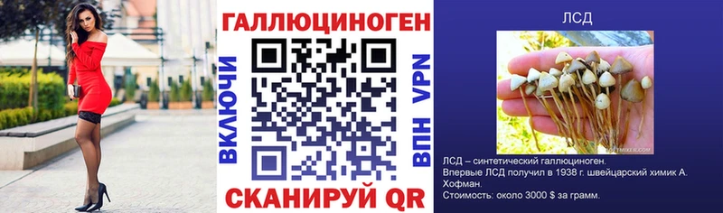 наркота  ссылка на мегу сайт  Псилоцибиновые грибы Cubensis  Яранск 